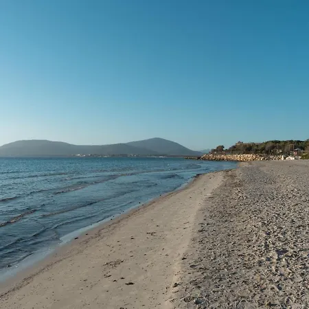 C1 Centralissimo Διαμέρισμα Αλγκέρο
